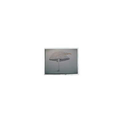 Хорошая цена 9.4 дюймовый DMF-51043NFU-FW 640*480 LCD экран Панель онлайн