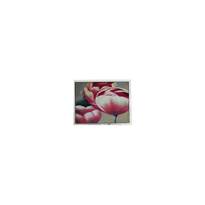 Хорошая цена Новый T-55548GD057JU-LW-AAN 5,7 дюйма 262K LCD экраны онлайн