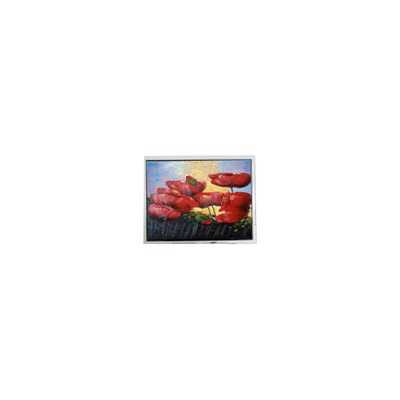Хорошая цена Горячая продажа 6,5 дюйма 640*480 T-55629D065J-LW-A-ABN ЖК-дисплей онлайн