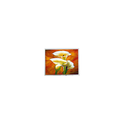 Хорошая цена T-55694D106J-LW-A-AAN 10,6 дюйма 1280*768 1000 cd/m2 ЖК-дисплей онлайн
