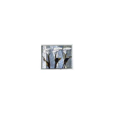 Хорошая цена 800*480 T-55785GD070J-LW-ADN 7,0 дюйма 262K ЖК-дисплей онлайн