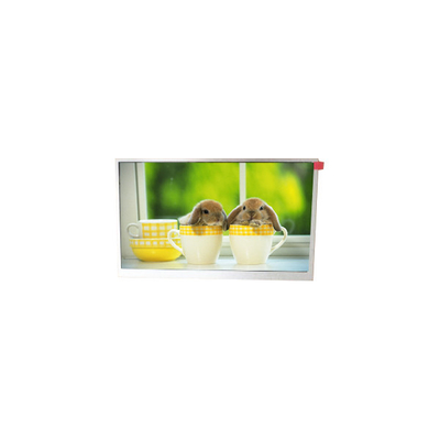 Хорошая цена TM090RDSG06 9,0 дюймовый 800*480 WLED ЖК-дисплей онлайн