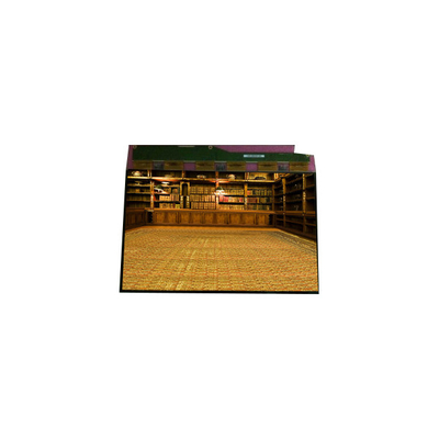 Хорошая цена горячая продажа 1600*1200 TM201XDHP01 20,1 дюймовый LVDS LCD дисплей онлайн