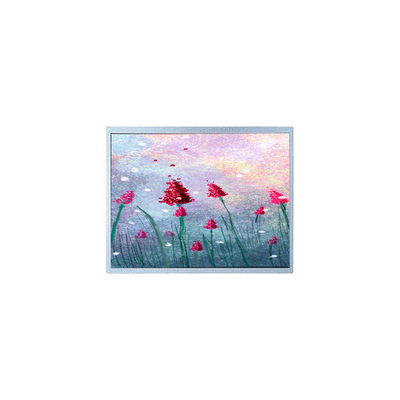 Хорошая цена P1900SXF1MA00 19.0 дюймовый TFT LCD монитор для медицинской визуализации онлайн