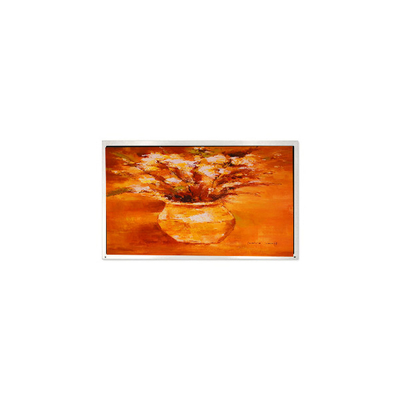 Хорошая цена QV101WUM-N80 10,1 дюйма 1920 * 1200 ЖК-панель для здравоохранения онлайн