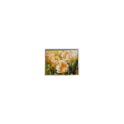 Хорошая цена В наличии 5,7 дюйма ER057005NJ6 320*240 LCD Screen Industrial онлайн