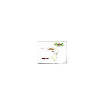 Хорошая цена Новый 240*320 ET028003DHU 2,8 дюймовый ЖК-дисплей с сенсорным экраном онлайн