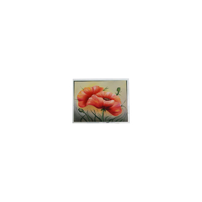 Хорошая цена новый 7,0 дюймовый ETM070001BDHA 800*480 PCAP Модуль ЖК-экрана онлайн
