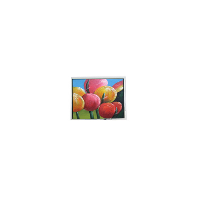 Хорошая цена Небольшая 4,7 дюйма EW32F50GLY 320 * 240 LCD панель промышленный онлайн