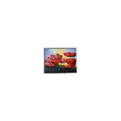 Хорошая цена 5.7 дюймовый 320*240 EW50352BCW LCD панель LCD монитор онлайн