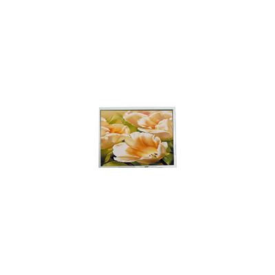Хорошая цена COM50T5123XLC 320*240 5,0 дюймовый ЖК-дисплей онлайн