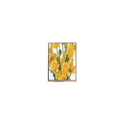 Хорошая цена C070SWP1 7.0 дюймовый TFT LCD экран для цифровой фотокарты онлайн
