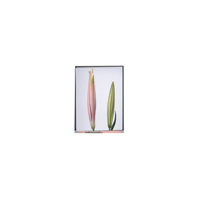 Хорошая цена C080SWW3-0 8,0 дюймовый TFT LCD дисплей для планшета онлайн