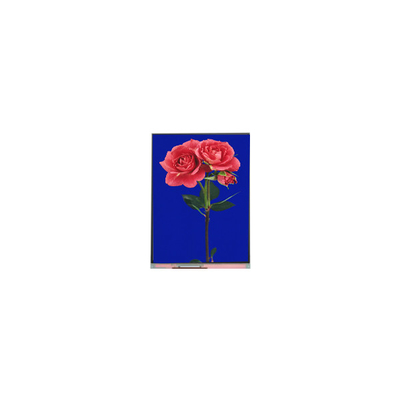 Хорошая цена 800*1280 C080SWW3-1 8,0 дюймовый TFT LCD дисплей FOR Pad онлайн