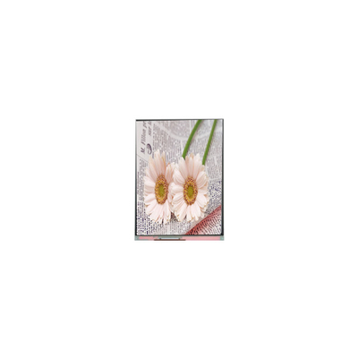 Хорошая цена C084GNS1-1 800*600 8,4 дюймовый TFT LCD дисплей для промышленности онлайн