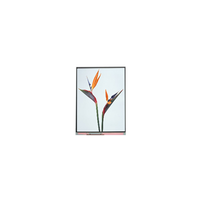 Хорошая цена 9.0 дюймовый C090NWP1 R0 800 * 480 TFT LCD дисплейная панель онлайн