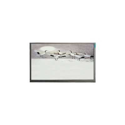 Хорошая цена P101GWWF R2 10,1 дюйма 1280*800 ЖК-панельный дисплей онлайн