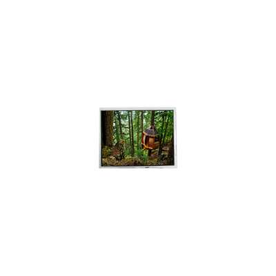 Хорошая цена FG050720DSSWDGT1 640*480 5,7 дюймовый LCD Touch Screen онлайн