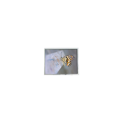 Хорошая цена FG050722DSSWDGL2 640*480 5,7 дюйма 20 штифтов Части ЖК-экрана онлайн
