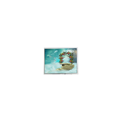 Хорошая цена TFT1N5918 6,9 дюйма 800*480 LVDS ЖК-экран Монитор онлайн