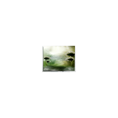 Хорошая цена 10.4 дюймовый TFT1P1799-E 960*1280 LCD экран для автомобильной промышленности онлайн