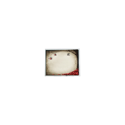 Хорошая цена TFT9D6672 6,9 дюйма 800*480 600:1 LCD-модуль онлайн