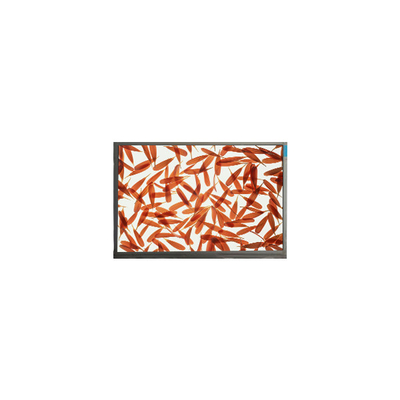Хорошая цена M090AWA6 R1 1280*720 9,0 дюймовый ЖК-экран для наружной высокой яркости онлайн