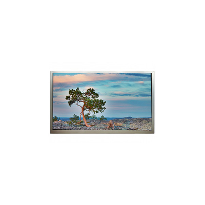 Хорошая цена SN245CT01-1 24,5 дюйма 1920*1080 3500:1 ЖК-дисплей онлайн