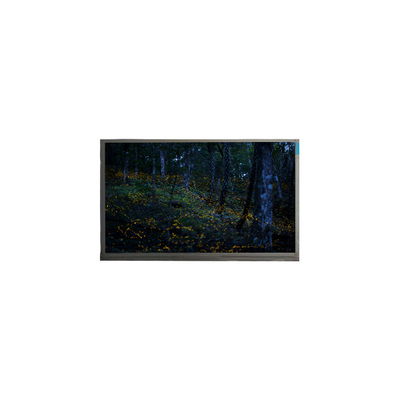 Хорошая цена Оригинальный 15,6 дюймовый N156BGE-P21 1366*768 40 пинный ЖК-экран онлайн