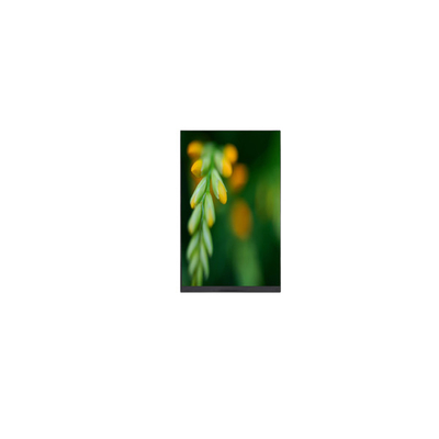Хорошая цена P080DCE-3F0 800*1280 8,0 дюймовый ЖК-дисплей с планшетом онлайн