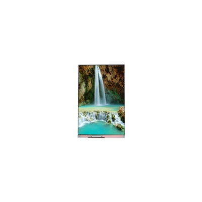 Хорошая цена Новый 5,5-дюймовый ЖК-монитор PP055IC-01D 1080*1920 60 Гц онлайн