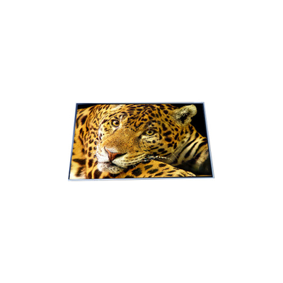 Хорошая цена P500QVF02.0 50,0 дюймовый 4K LCD дисплей онлайн