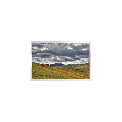 Хорошая цена LW270AHQ-ESG3 27.0 дюйма 2560*1440 OLED дисплей для игр онлайн