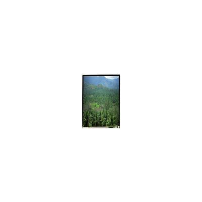 Хорошая цена LS055B3SX04Z 5,5 дюйма 1920*3664 TFT LCD экранная панель онлайн