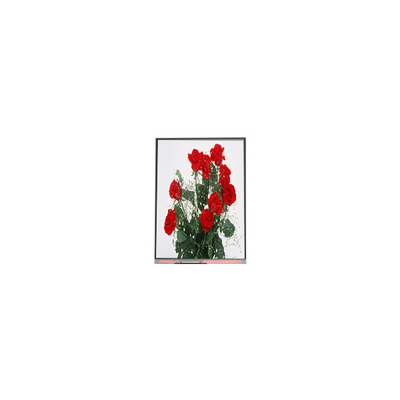 Хорошая цена C065SWR1-0 6,5-дюймовый ЖК-дисплей 720*1560 ЖК-дисплей онлайн