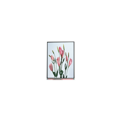 Хорошая цена 5.7 дюймовый 720*1520 C057SWR2-0 LCD экран для мобильного телефона онлайн