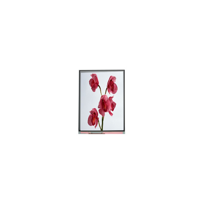 Хорошая цена 480*960 C060SWY7-0 6,0 дюймовый LCD экран онлайн