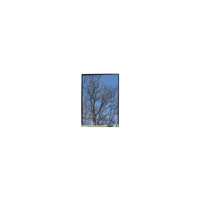 Хорошая цена 5.5 дюймовый LS055T1SX29 1080*1920 FHD LCD дисплейная панель онлайн