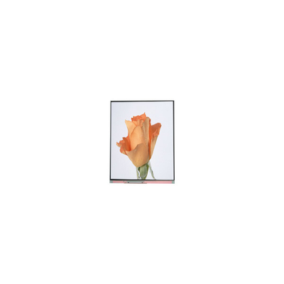 Хорошая цена 720*1280 C052SWA2-1 5,2-дюймовый ЖК-дисплей для телефона онлайн