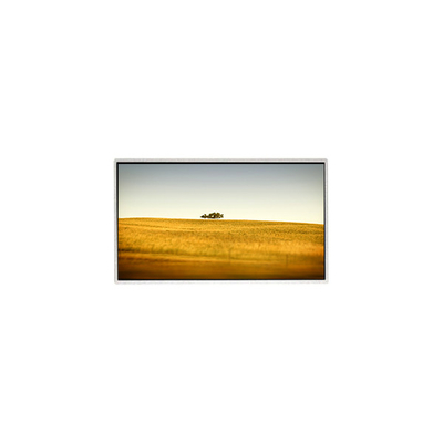 Хорошая цена Горячая продажа 10,1 дюйма TT101WSQ-N10 1024 * 600 ЖК-дисплей для ПК-нетбуков онлайн