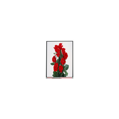 Хорошая цена Новый 6,2-дюймовый ЖК-дисплей C062SWP1-1 800*480 онлайн