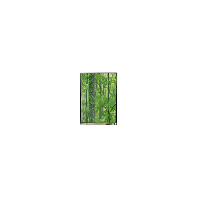 Хорошая цена LS055D1SX04 5,5-дюймовый 4K LCD экран Оригинальный LCD панель онлайн
