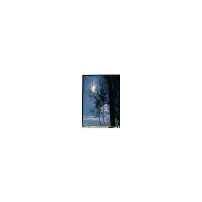 Хорошая цена LS055T1SX09 5,5 дюймовый 1080*1920 TFT-LCD LCD экран онлайн