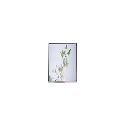 Хорошая цена C060SWZ1-0 Новый 6,0 дюймовый 540*960 LCD дисплей онлайн
