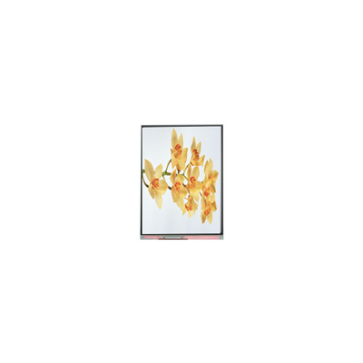Хорошая цена C060SWY2-1 6,0 дюйма 480*854 TFT LCD дисплейная панель онлайн