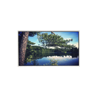 Хорошая цена 21.5 дюймовая оригинальная HM215WU3-501 TFT LCD дисплейная панель онлайн