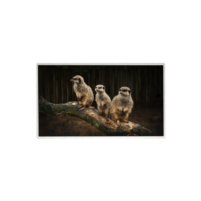 Хорошая цена HR236WU1-310 23,6 дюйма 1920*1080 ЖК-экран TFT ЖК-панель онлайн