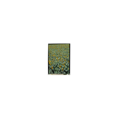Хорошая цена 720*1280 LS053K3SX01 5,3 дюйма tft lcd дисплей LCD Экран для мобильного телефона онлайн