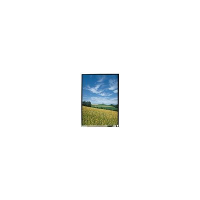 Хорошая цена 50,0 дюймовый LCD дисплей LS050T3SX01 1080*1920 онлайн