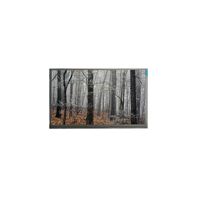 Хорошая цена MT200LW01 V.0 20,0 дюйма 30 штифтов ЖК-дисплей онлайн